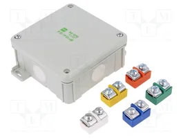 ELEKTRO-PLAST NASIELSK Caja de conexiones IP55 gris