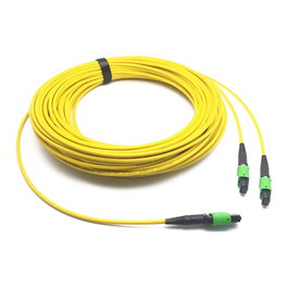 NVIDIA Nvidia passive fibre cable SMF MPO12 APC 2xMPO12 APC 10m