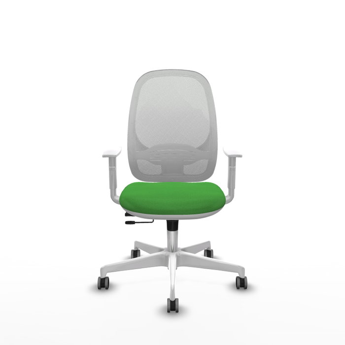PIQUERAS Y CRESPO Silla de oficina Cilanco con mecanismo Sincro/Traslack Verde y Blanco PIQUERAS Y CRESPO Silla de oficina Cilanco con mecanismo Sincro/Traslack Verde y Blanco