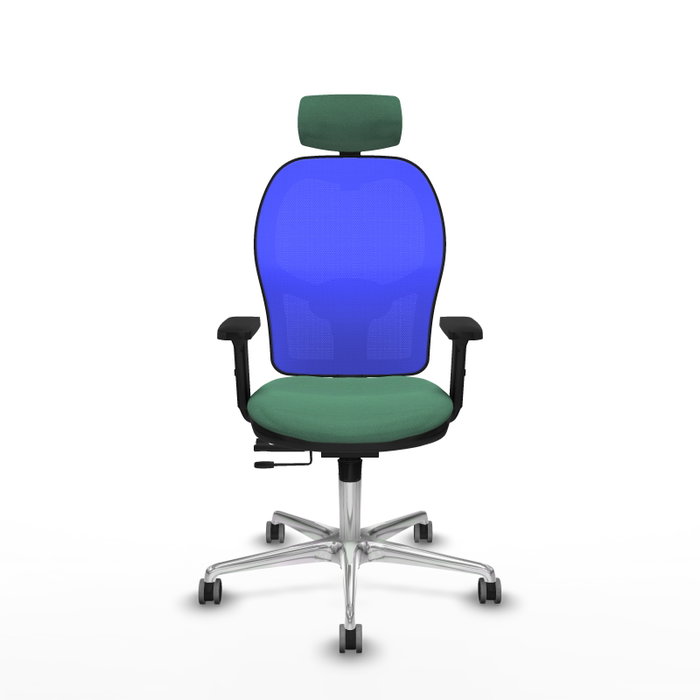 PIQUERAS Y CRESPO Silla de oficina Jorquera con mecanismo Sincro/Traslack, Verde esmeralda y Azul PIQUERAS Y CRESPO Silla de oficina Jorquera con mecanismo Sincro/Traslack, Verde esmeralda y Azul