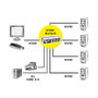 ROLINE KVM Switch 14.01.3329 con DisplayPort para 4 PC