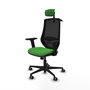 PIQUERAS Y CRESPO Silla de oficina Mardos con mecanismo Sincro, Verde y Negro