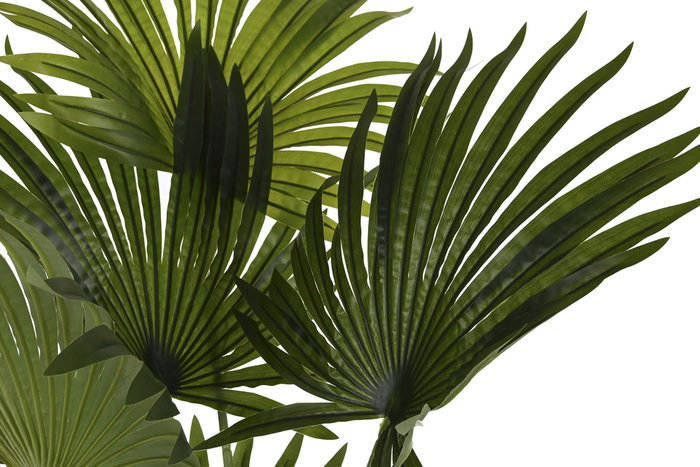 DKD Home Decor Planta Palmera Verde Poliéster PP 80x80x180 DKD Home Decor Planta Palmera Verde Poliéster PP 80x80x180