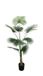 DKD Home Decor Planta Palmera Verde Poliéster PP 80x80x180