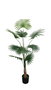 DKD Home Decor Planta Palmera Verde Poliéster PP 80x80x180