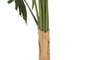 DKD Home Decor Planta Palmera Verde Poliéster PP 80x80x180