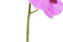 DKD Home Decor Flor Orquídea Rosa Blanco 7 x 91 x 14 cm (12 Unidades)