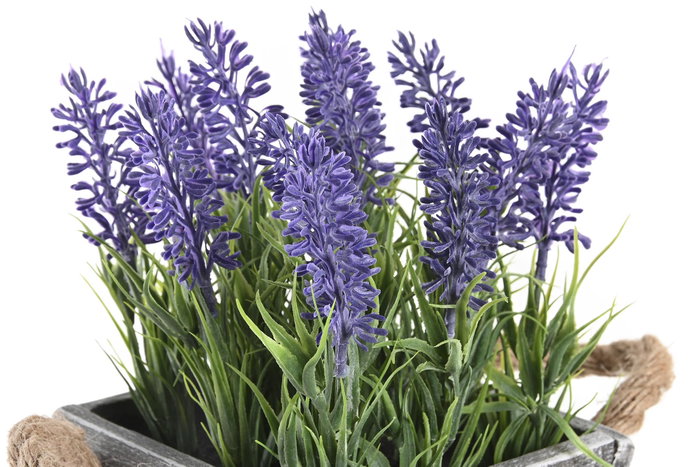 DKD Home Decor Planta de Lavanda Lila con Base de Madera 15x15x20 cm