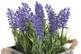 DKD Home Decor Planta de Lavanda Lila con Base de Madera 15x15x20 cm