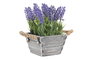 DKD Home Decor Planta de Lavanda Lila con Base de Madera 15x15x20 cm