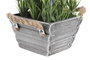 DKD Home Decor Planta de Lavanda Lila con Base de Madera 15x15x20 cm