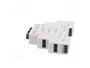 ZAMEL BZM-03 Módulo de Protección de 3 Polos 6,3A