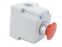 SPAMEL Casete de control ST22 con 1 botón de cabeza de seta rojo