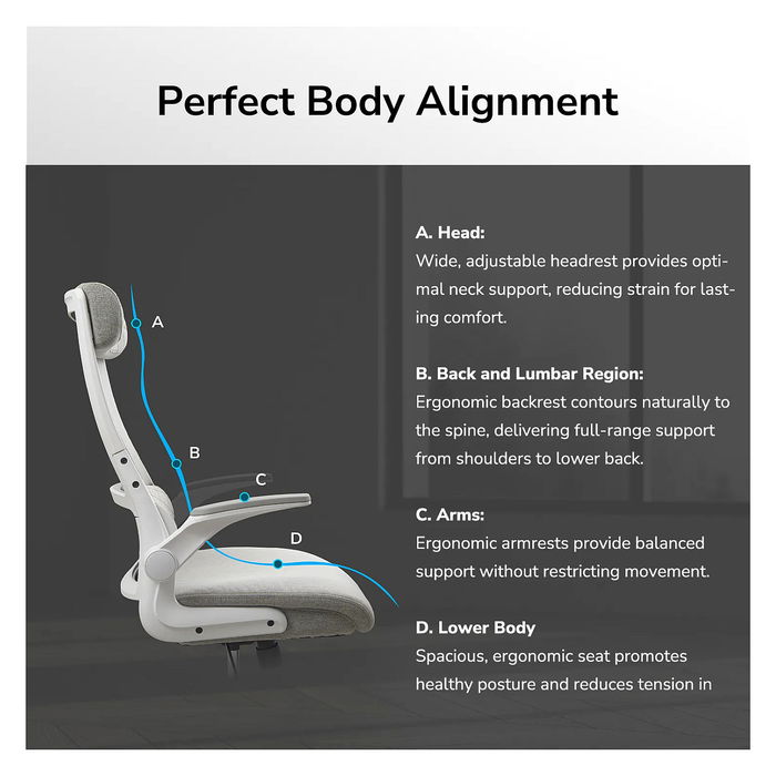 Cougar Stryder - Silla Gaming/Office Ergonómica Ajustable con Respaldo, Asiento y Reposacabezas en Tela Negra - CGR-STD-BLB