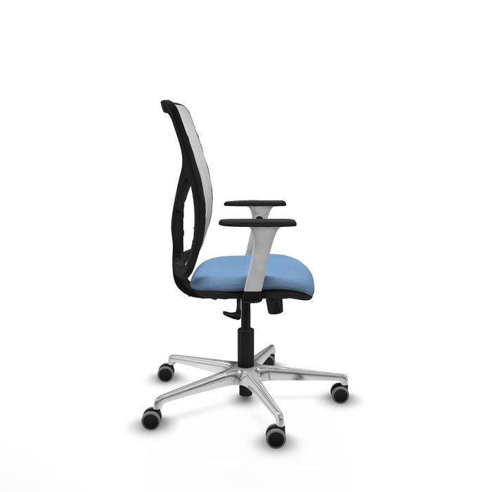 PIQUERAS Y CRESPO Silla de oficina Motilla con mecanismo Sincro, Azul cielo y Blanco PIQUERAS Y CRESPO Silla de oficina Motilla con mecanismo Sincro, Azul cielo y Blanco