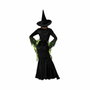 atosa Disfraz de Bruja Mujer Verde con Sombrero y Vestido Largo Negro