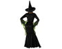 atosa Disfraz de Bruja Mujer Verde con Sombrero y Vestido Largo Negro