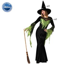 Disfraz para Adultos Verde Bruja Adultos