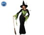 atosa Disfraz de Bruja Mujer Verde con Sombrero y Vestido Largo Negro