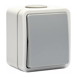 RED 2410-50-0004 Interruptor de Selector Wechselschalter FR 250V 10A IP54 IK05