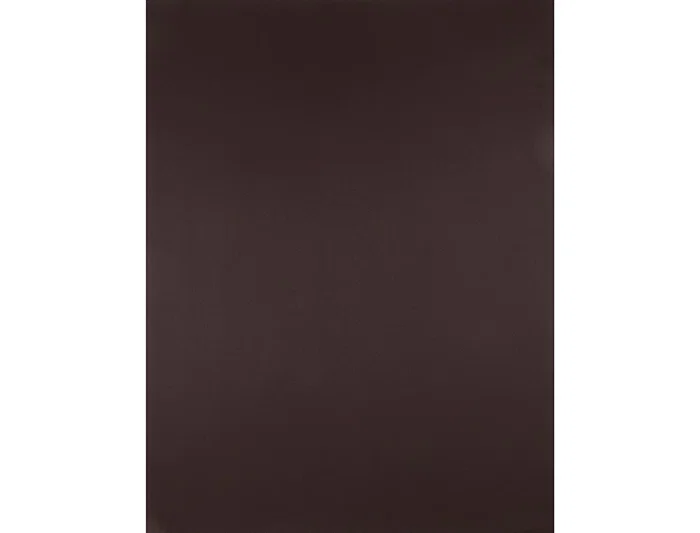 Liderpapel Cartulina Marron 50x65 cm 180 gr Paquete de 25 Hojas para Dibujo y Manualidades