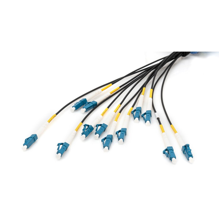 Digitus Cable de Fibra Óptica LC/UPC a LC/UPC OS2 12 Fibras 50m Monomodo Preconfeccionado Negro