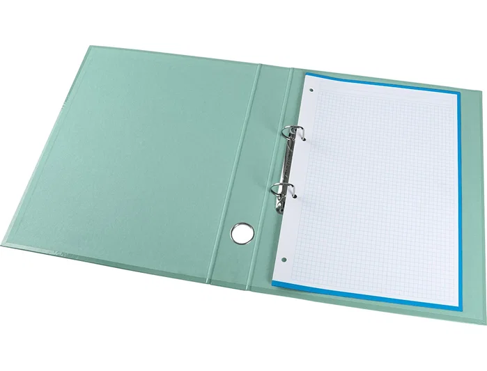 Liderpapel Carpeta de 2 Anillas 25 mm A4 Forrado Color System con Ollao y Tarjetero Menta