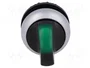 EATON ELECTRIC Interruptor rotativo verde de 22mm