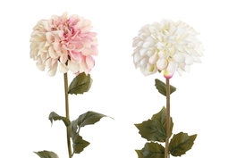 DKD Home Decor Flor Blanco Rosa 10 x 57 x 10 cm (12 Unidades)