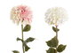 DKD Home Decor Flor Blanco Rosa 10 x 57 x 10 cm (12 Unidades)