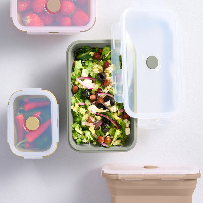 Day Juego de 4 Herméticos Plegables de Silicona y Plástico con Válvula de Vapor, 1200ml-350ml Day Juego de 4 Herméticos Plegables de Silicona y Plástico con Válvula de Vapor, 1200ml-350ml