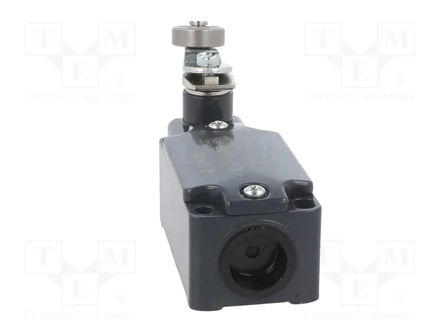 PIZZATO ELETTRICA Interruptor de fin de carrera FD 531-R24