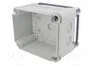OBO BETTERMANN Caja de conexiones Serie X gris claro