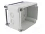 OBO BETTERMANN Caja de conexiones Serie X gris claro