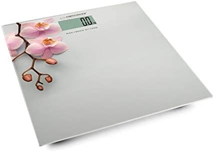 Esperanza EBS011 Orchid szary Esperanza EBS011 Orchid szary