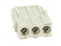HARTING Han-Modular® Módulo Conector Macho 40A 690V 3 Pines