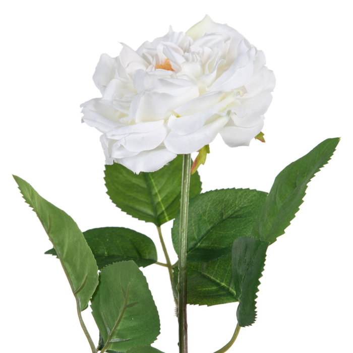 Ixia Set de 12 Rosas Blancas Artificiales para Decoración (14 x 16 x 43 cm)