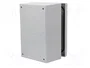FIBOX ARCA Carcasa de pared de policarbonato gris