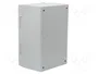 FIBOX ARCA Carcasa de pared de policarbonato gris