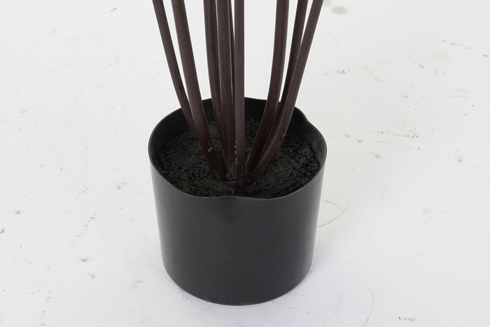 DKD Home Decor Planta Dracena Verde Marron 75 x 75 x 180 cm (2 Unidades)