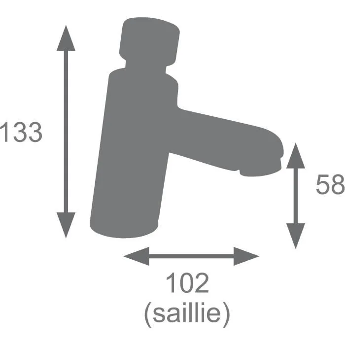 Edouard Rousseau EDO3047404061098 Mezclador de Lavabo Temporizado Cromo