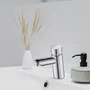 Edouard Rousseau EDO3047404061098 Mezclador de Lavabo Temporizado Cromo