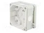 ELEKTRO-PLAST NASIELSK Caja de conexiones gris IP55