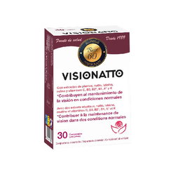 Visionatto
