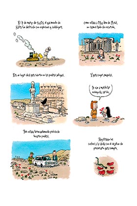 Astisendo Grupo Editorial, S.L. Las Amapolas de Irak