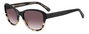 Kate Spade GOLDA-G-S-W4A Gafas de sol con cristales rosa y degradado