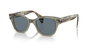 Ray Ban RB0880S-66353R-52