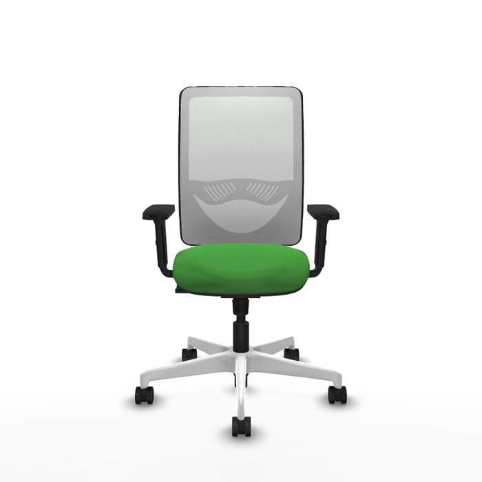 PIQUERAS Y CRESPO Silla de oficina Zulema con mecanismo Sincro, Verde y Blanco PIQUERAS Y CRESPO Silla de oficina Zulema con mecanismo Sincro, Verde y Blanco