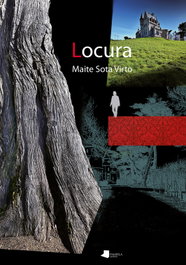Locura, Maite Sota Virto - PAMIELA EDITORIAL