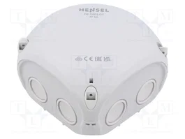 HENSEL ENYCASE® Caja de conexiones gris IP66